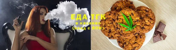 спиды Гусев