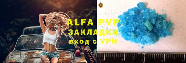 спиды Гусев