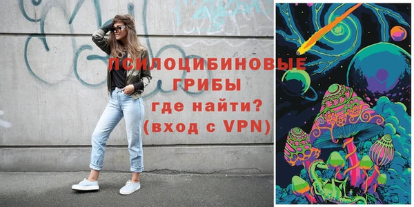 спиды Гусев