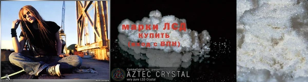 спиды Гусев