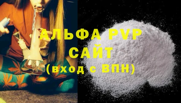 спиды Гусев