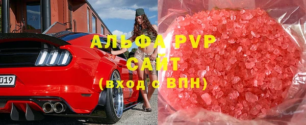 спиды Гусев
