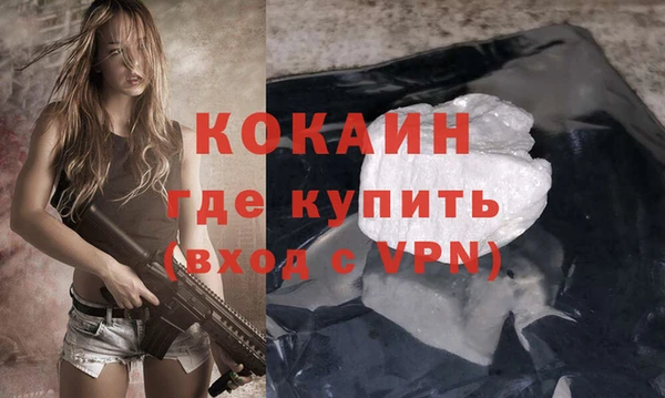 спиды Гусев