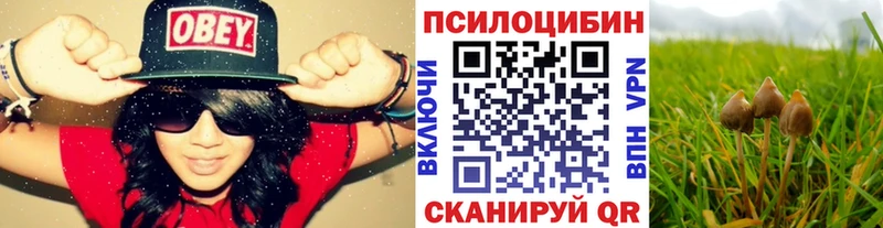 Купить закладки  Бодайбо  Галлюциногенные грибы мицелий 